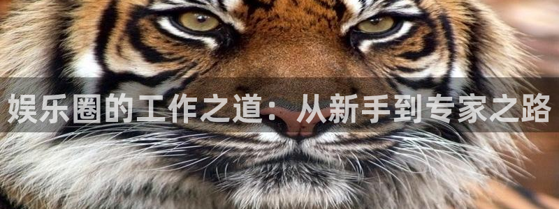 银河官网入口登录：娱乐圈的工作之道：从新手到专家之路