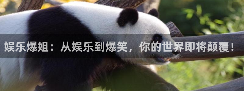 yh银河官网：娱乐爆姐：从娱乐到爆笑，你的世界即将颠覆！