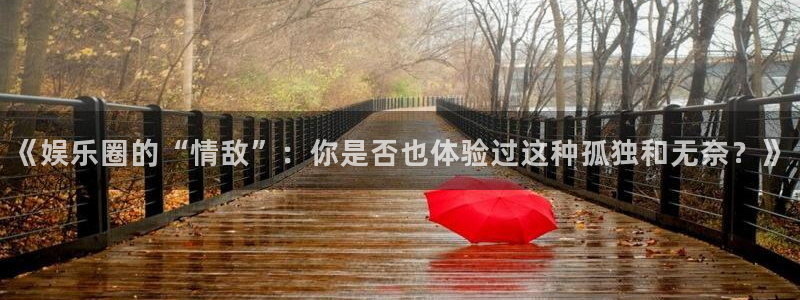 中国银河官网：《娱乐圈的“情敌”：你是否也体验过这种孤独和无奈？》