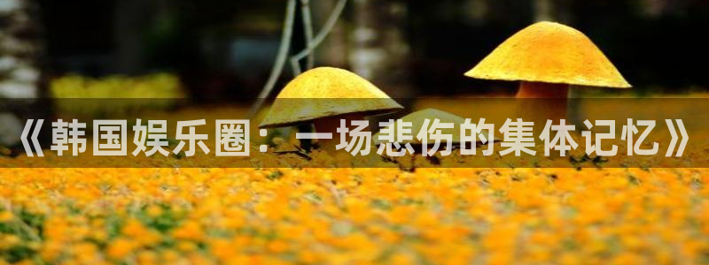 银河官网网站：《韩国娱乐圈：一场悲伤的集体记忆》