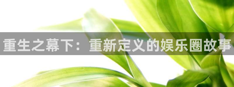银河官网网站：重生之幕下：重新定义的娱乐圈故事
