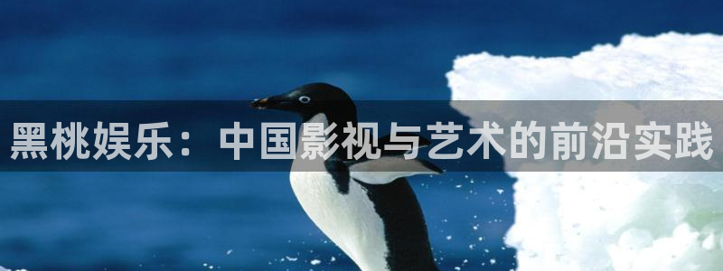 新银河官网：黑桃娱乐：中国影视与艺术的前沿实践