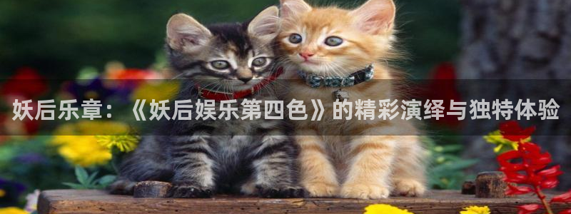 银河官网入口登录：妖后乐章：《妖后娱乐第四色》的精彩演绎与独特体验
