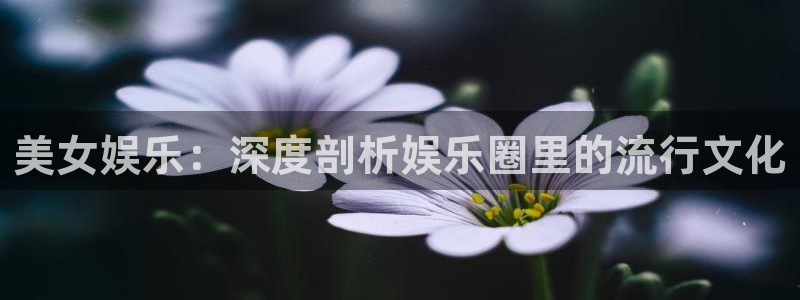 yh银河官网：美女娱乐：深度剖析娱乐圈里的流行文化