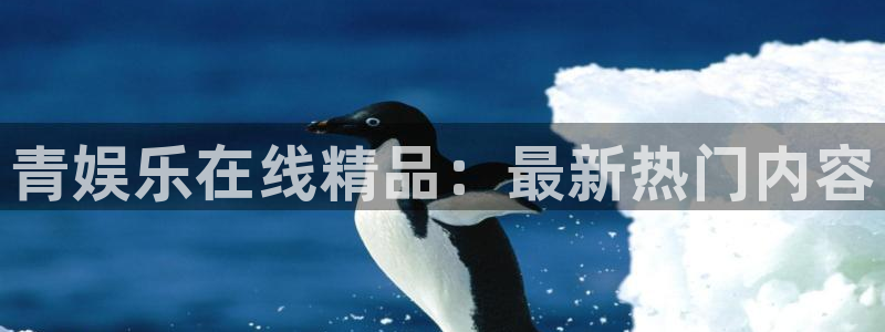 22top银河官网入口：青娱乐在线精品：最新热门内容